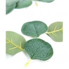 50 confettis de table feuilles d'eucalyptus vert