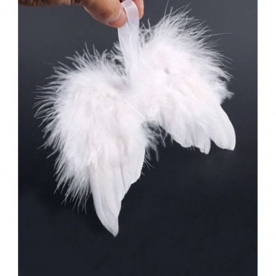 Ailes en plumes blanches 