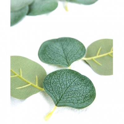 Nol  - 50 confettis de table feuilles d'eucalyptus vert : illustration