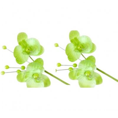 Decoration Mariage  - 6 Fleurs Orchides Vert Anis sur Tige : illustration