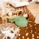 50 confettis de table feuilles d'eucalyptus vert : illustration