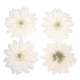 4 marguerites ivoire artificielles en tissu - fleurs ... : illustration