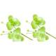 6 Fleurs Orchides Vert Anis sur Tige : illustration