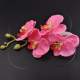 Orchide artificielle rose 70 cm + 4 feuilles : illustration