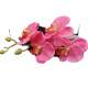 Orchide artificielle rose 70 cm + 4 feuilles : illustration