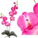 Orchide artificielle rose 70 cm + 4 feuilles : illustration