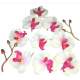 Ttes d'orchide artificielle blanche et parme + 6 ... : illustration