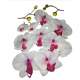 12 ttes orchides tissu blanc et parme + 6 bourgeons  : illustration